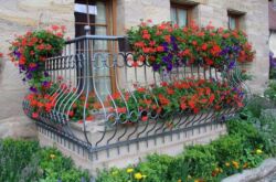 Fleurs sur le balcon