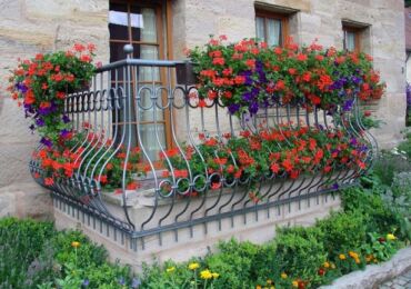 Fleurs sur le balcon