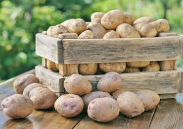 Comment garder les pommes de terre dans un appartement