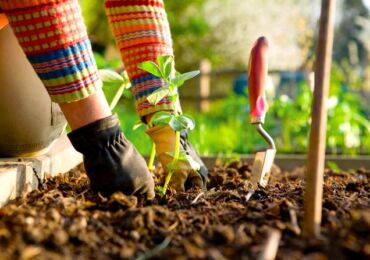 Préparer le jardin pour l'hiver