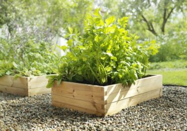 Aménagement d'un lit chaud. Comment faire un lit de jardin chaud au printemps