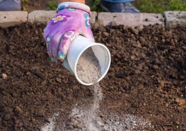 La cendre comme engrais et pas seulement: l'utilisation de la cendre dans le jardin