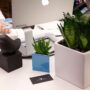 Entretien des plantes pour le bureau