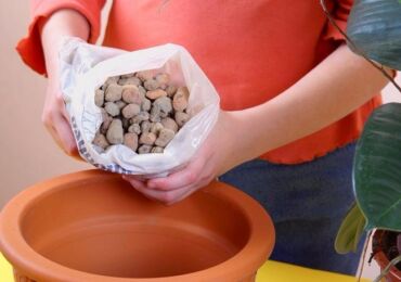 Drainage pour plantes d'intérieur. Comment faire un bon drainage de vos propres mains