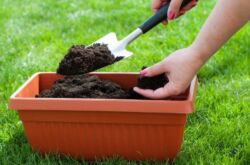 Comment faire du compost à la maison