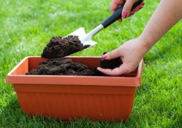 Comment faire du compost à la maison