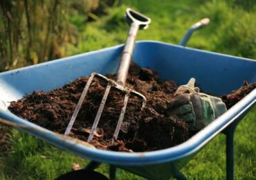 Engrais organiques: fumier, compost, humus et autres