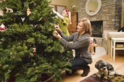 Comment choisir un arbre frais. Choisir correctement un arbre de Noël pour la nouvelle année