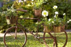 Des idées pour décorer un terrain de jardin de vos propres mains. Photo, vidéo