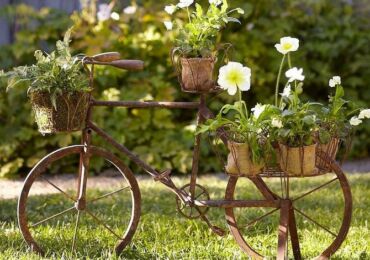 Des idées pour décorer une parcelle de jardin de vos propres mains. Photo, vidéo