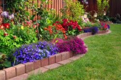 Faire un parterre de fleurs de vos propres mains. Prendre soin d'un parterre de fleurs dans un chalet d'été