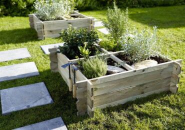 Comment créer un "potager intelligent" qui ne nécessite pas de creuser