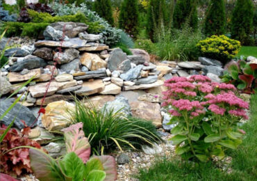 Plantes pour un toboggan alpin: photos et noms des meilleures fleurs, plantes vivaces et couvre-sol