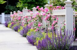 Jardin de fleurs à faire soi-même le long de la clôture, décoration de parterre de fleurs