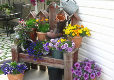 Grandes plantes qui aiment la chaleur dans des pots et des bacs: se préparer pour l'hiver