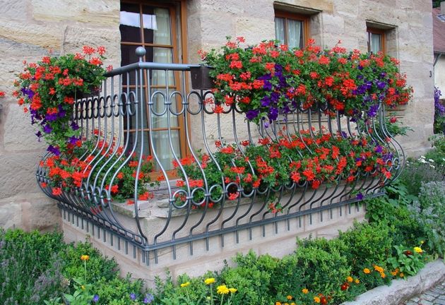 Fleurs sur le balcon