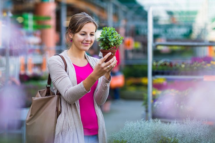 Comment choisir la bonne fleur dans le magasin