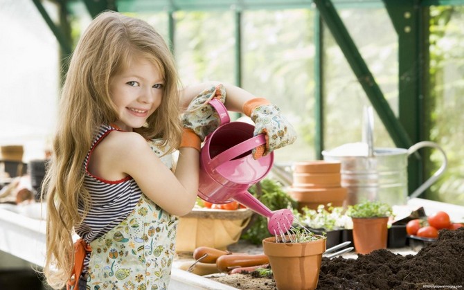 La reproduction de plantes d'intérieur est une activité très divertissante qui ne demande pas beaucoup d'efforts.