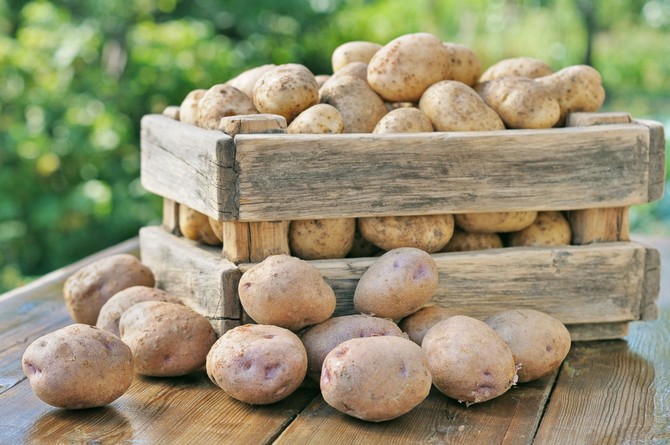 Comment garder les pommes de terre dans un appartement