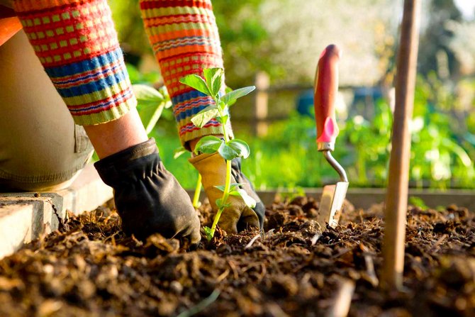 Préparer le jardin pour l'hiver