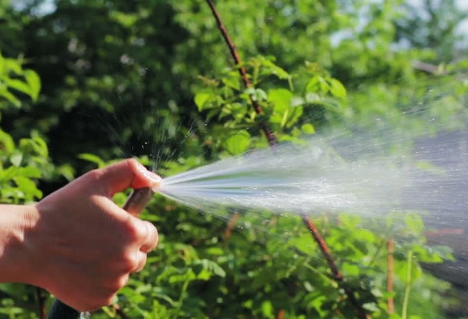 Le principe de l'irrigation en créant de la rosée artificielle