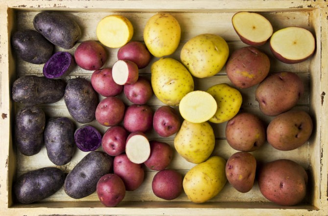 Comment choisir une variété de pomme de terre