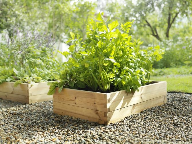 Aménagement d'un lit chaud. Comment faire un lit de jardin chaud au printemps