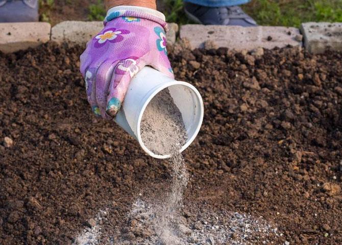 La cendre comme engrais et pas seulement: l'utilisation de la cendre dans le jardin