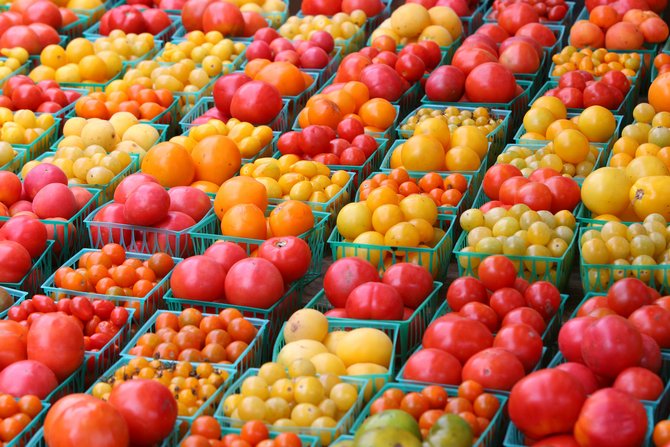 Variété ou hybride: quel est le meilleur?