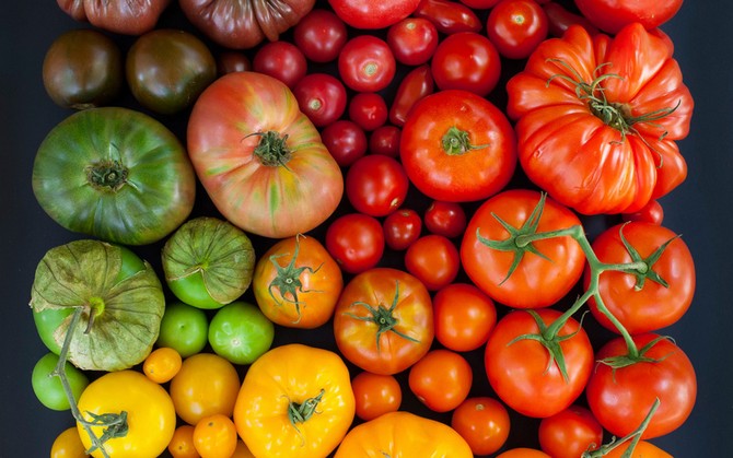 Meilleure récolte: variétés de légumes purs ou hybrides