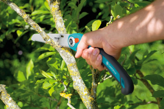 Si vous avez besoin de mettre à jour votre jardin et que vous avez décidé de scier beaucoup d'arbres de jardin, vous ne pouvez pas vous passer d'une scie de jardin ou d'une scie à métaux dans une telle situation.