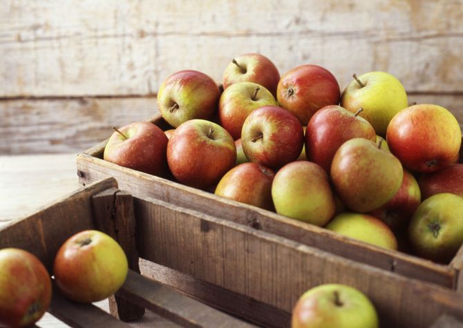 Règles de base pour conserver les pommes