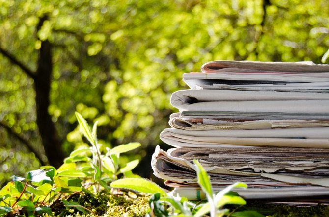 Journaux en noir et blanc, divers emballages en papier, le carton est un excellent matériau de paillage.