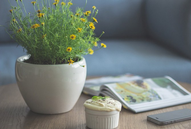 Calendrier lunaire des plantes et fleurs d'intérieur en juin