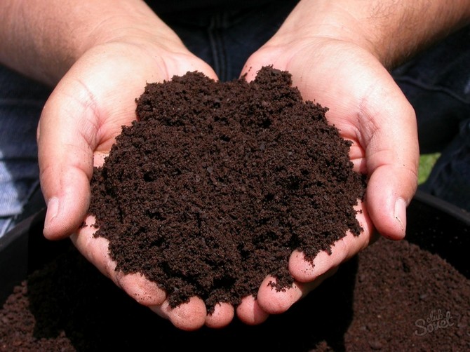 Presque chaque parcelle de terrain a une place pour un tas de compost.