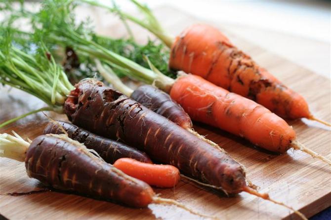 Comment se débarrasser des mouches de la carotte sans produits chimiques