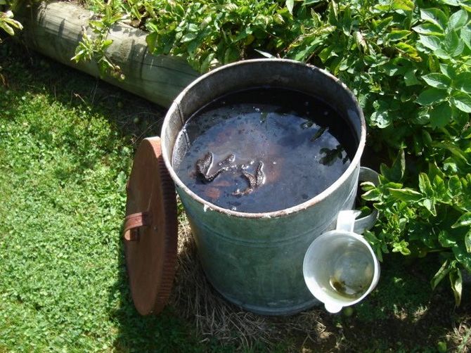 Comment faire du thé de compost sans pompe ni compresseur