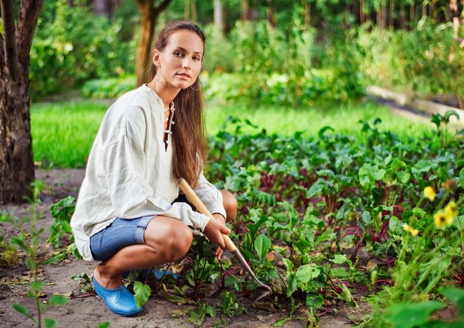 Caractéristiques de replantation