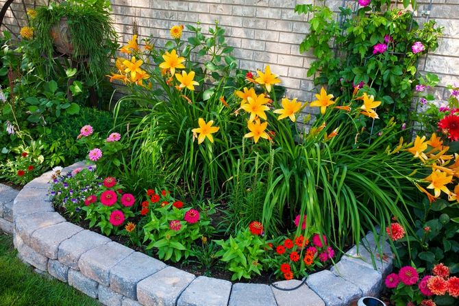 Décoration de jardin avec des plantes insolites