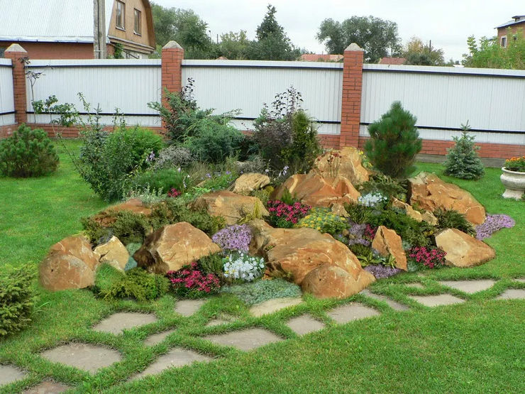 Annuelles à croissance basse avec une longue période de floraison