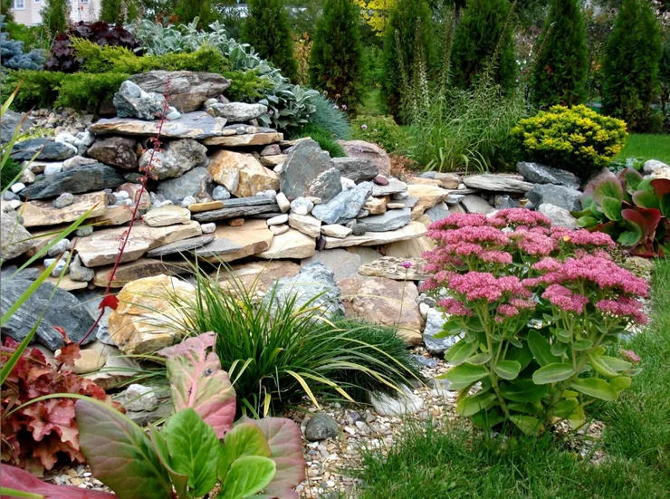 Plantes pour un toboggan alpin: photos et noms des meilleures fleurs, plantes vivaces et couvre-sol