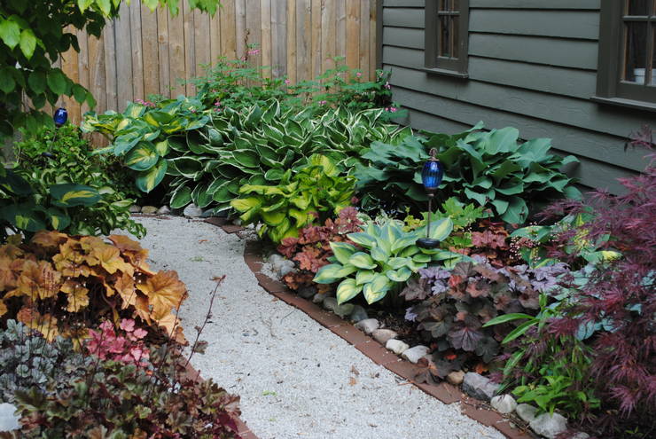 Plantes de bordure annuelles