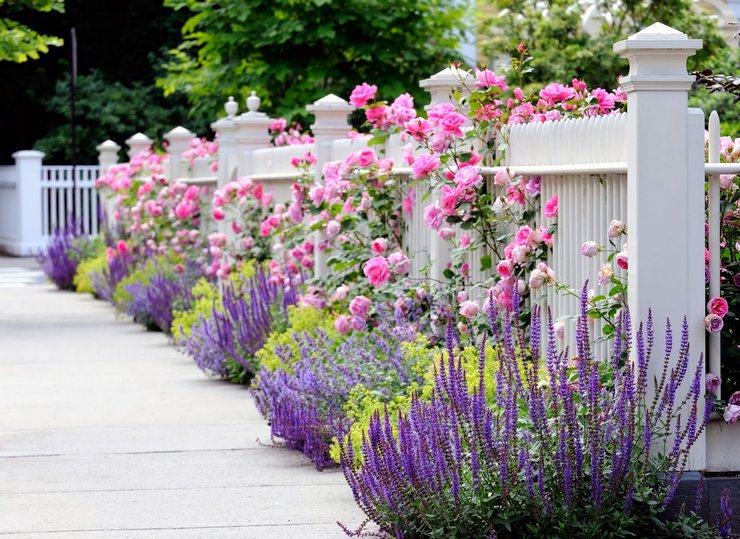 Jardin de fleurs à faire soi-même le long de la clôture, décoration de parterre de fleurs