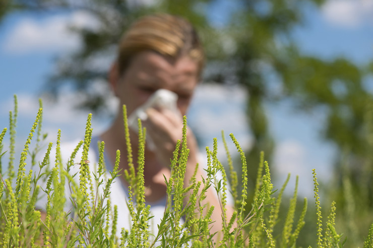 Effets négatifs de l'herbe