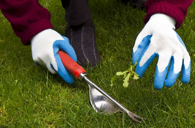 Le désherbage manuel consiste à cueillir toutes les racines et leurs parties d'herbes vivaces tout en creusant une parcelle de terrain