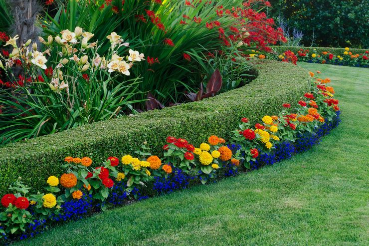 Bordure de jardin fleuri