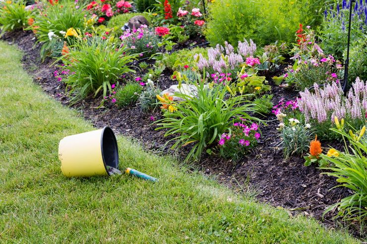 Sélection correcte des plantes