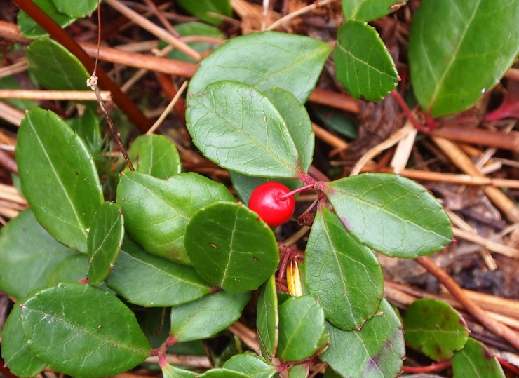 Prendre soin du jardin