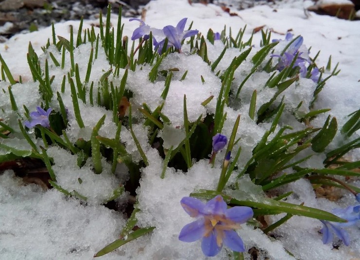 Abri pour l'hiver