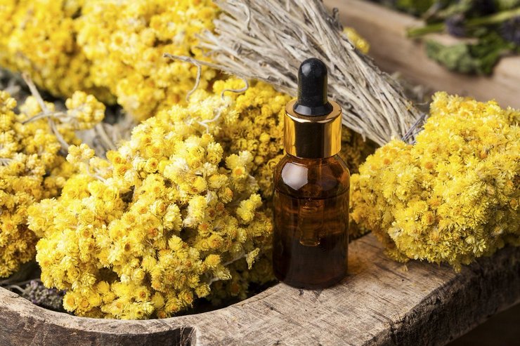 Les propriétés curatives de l'immortelle